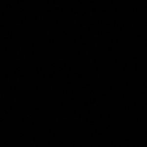 Meet your Posher, Alani